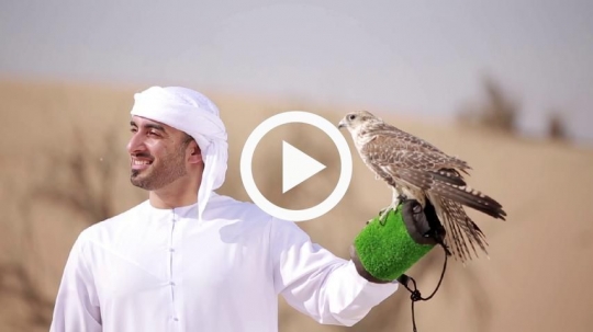 Young man with falcon
