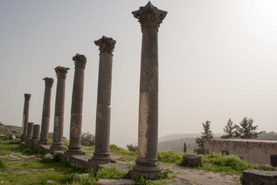ancient roman columns,jerash