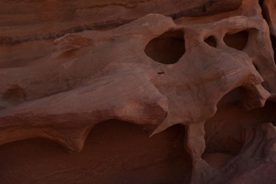 Sandstone gorge abstract pattern formation, Rose City cave, Siq, Petra, Jordan