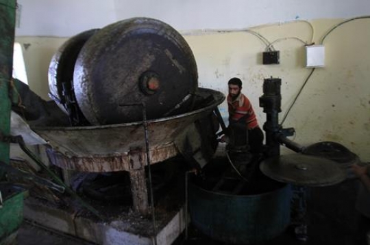 Olive oil mill