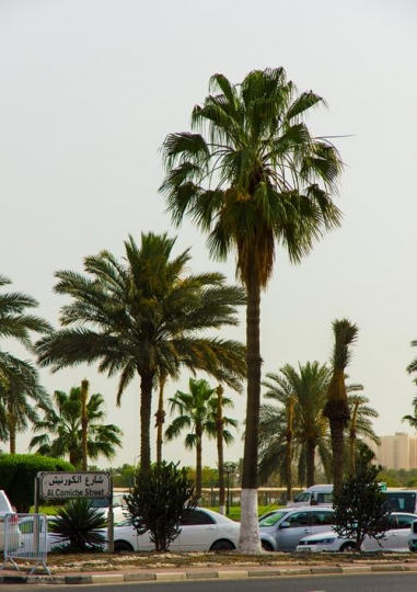 al corniche street,qatar