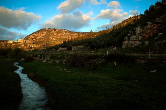 stream in iraq al amir,Jordan