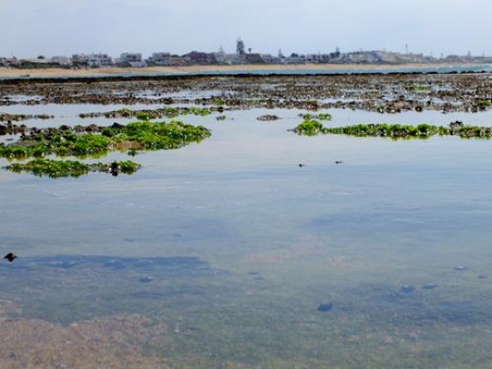 bouznika beach,morocco