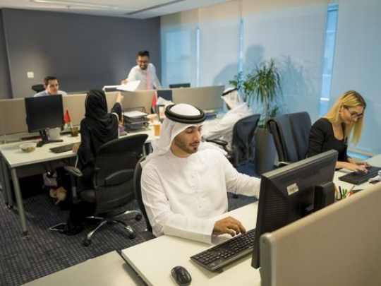  Business people sitting by their desk working|