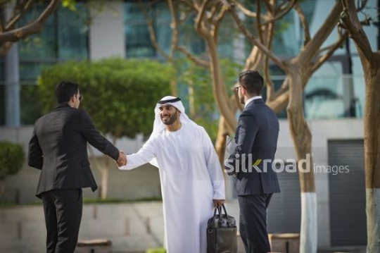 Middle Eastern Businessman shaking hands with his colleague|-