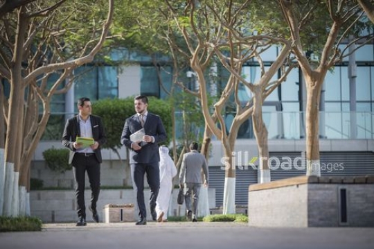 Group of Businessmen walking |-