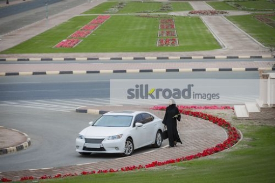 Proud Businesswoman walking|