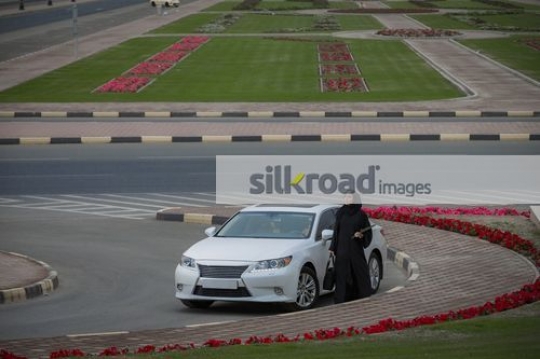 Businesswoman standing by the car|