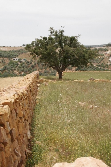 Stone wall in Jerash