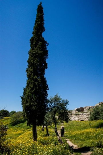 umm qais,gadara city norht-west of jordan