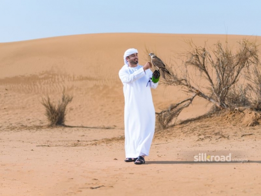 Man caressing chest of falcon