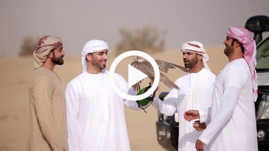 Friends with falcon