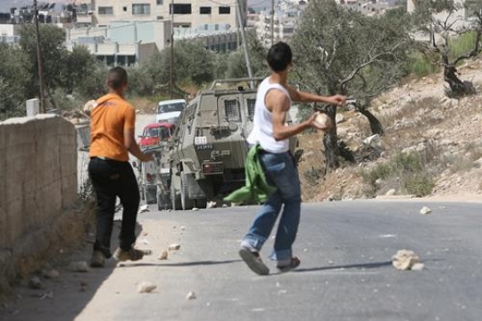 Palestinian resistance