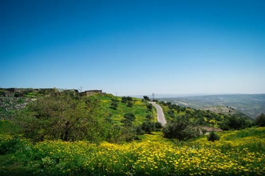 umm qais,gadara city north-west of Jordan