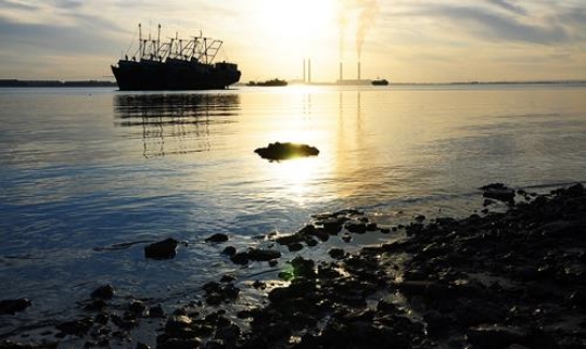 Doha Port - Kuwait