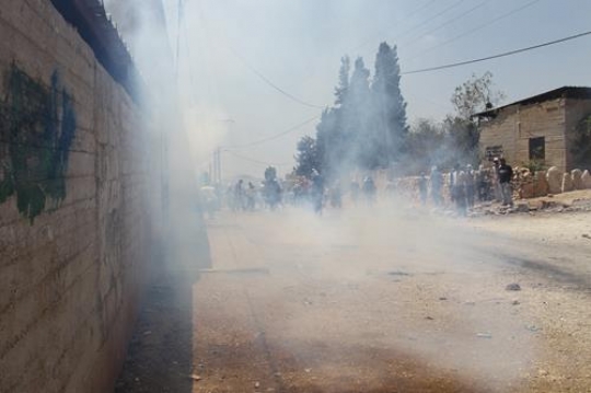 palestinian resistance