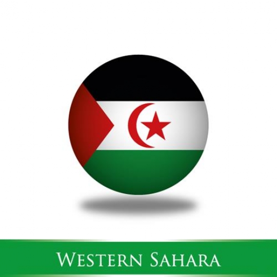 flag of western sahara