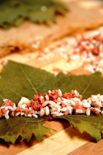 vine leaves