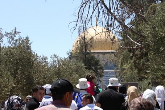 dome of the rock