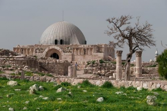 the umayyad palace in the cita