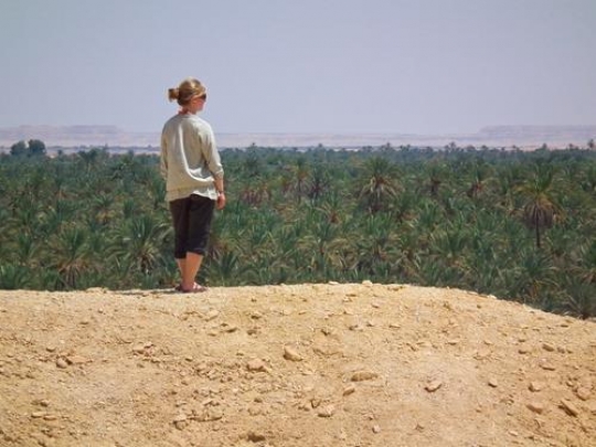 Siwa View y