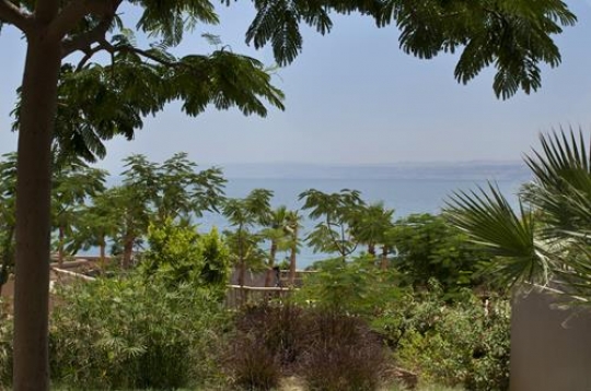 Dead Sea View