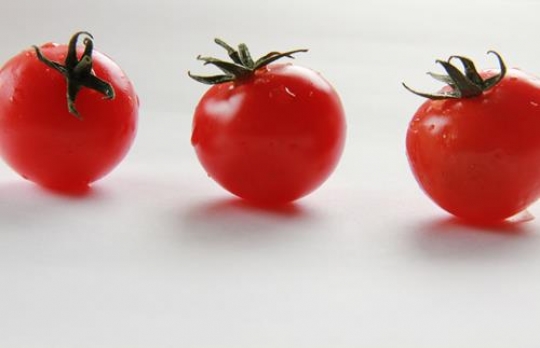 Fresh red tomatoes