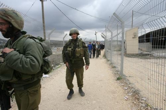 Occupation