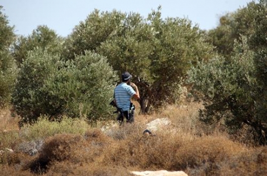 jewish settler