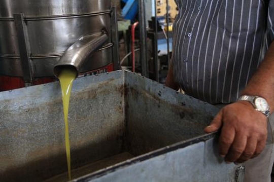 Olive oil