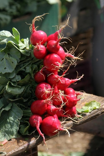 Vegetables 