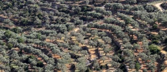 Beit Rima