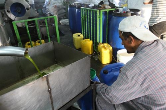  oil mill