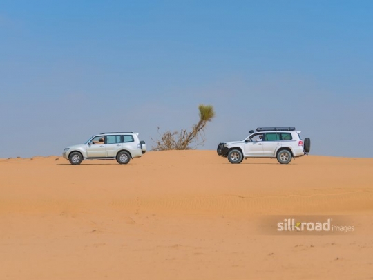 Cars cruising in the desert