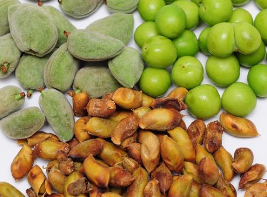 Oriental Food Habits