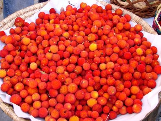 Moroccan Fruit