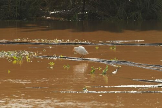 Floods in Qalqilya