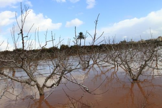 Floods in Qalqilya