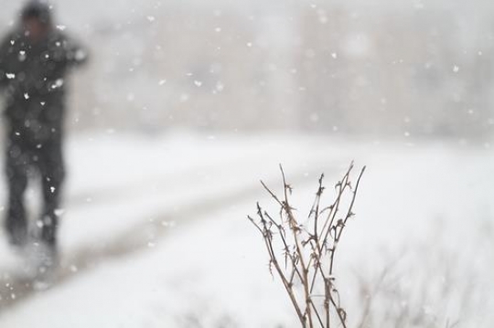 Fresh snow cover, at winter in Palestine, everbody happy and outside and play in the snow