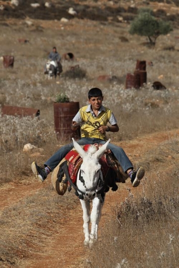 boy riding on donkey