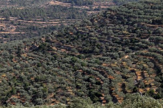 Beit Rima