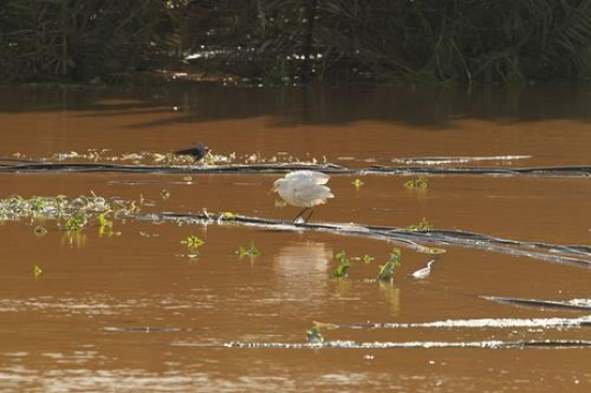 Floods in Qalqilya