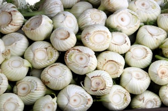 Onion 