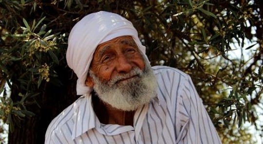 senior many
