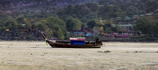 tropical area with a boat in t