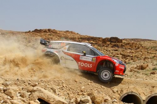 Rally Car Side View