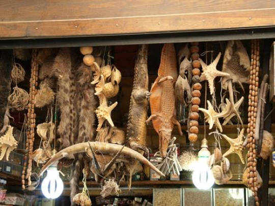 antiques shop front