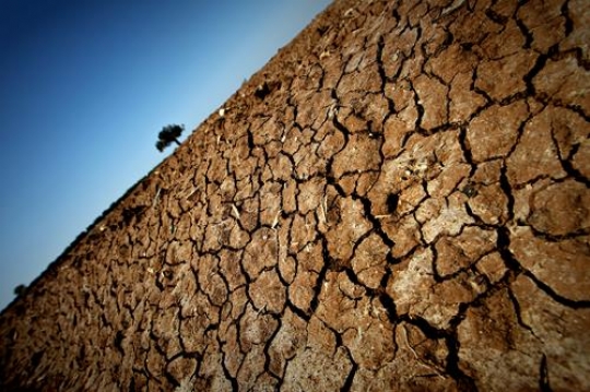 Parched Earth