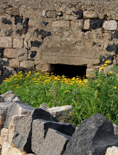 Old Remains 