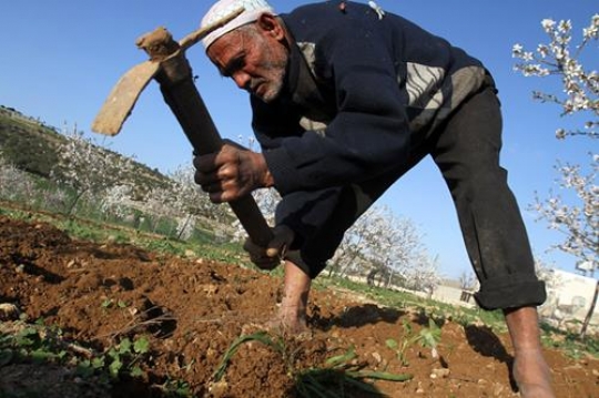 farmer